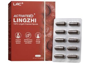 Lingzhi™ - 100% Lingzhi Cracked Spores